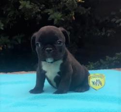 Click sobre la imagen para ampliarla