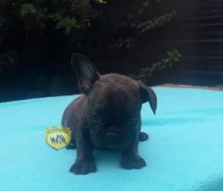 Click sobre la imagen para ampliarla