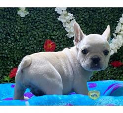 Click sobre la imagen para ampliarla