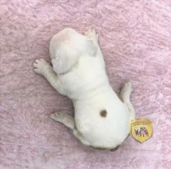 Click sobre la imagen para ampliarla