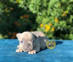 Click sobre la imagen para ampliarla