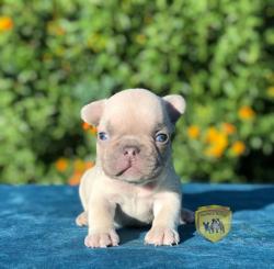 Click sobre la imagen para ampliarla