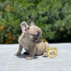 Click sobre la imagen para ampliarla