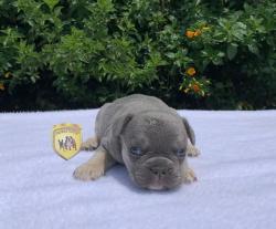 Click sobre la imagen para ampliarla