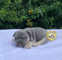 Click sobre la imagen para ampliarla