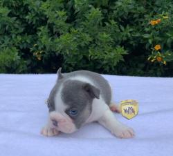 Click sobre la imagen para ampliarla