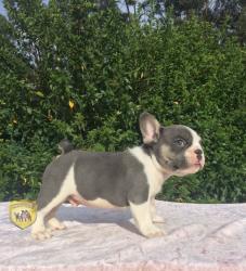 Click sobre la imagen para ampliarla