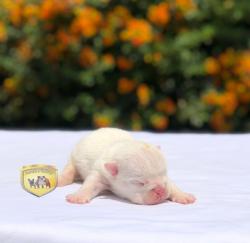 Click sobre la imagen para ampliarla