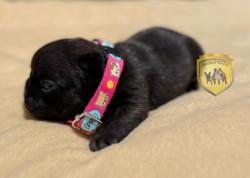 Click sobre la imagen para ampliarla