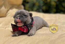 Click sobre la imagen para ampliarla