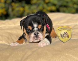 Click sobre la imagen para ampliarla