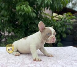 Click sobre la imagen para ampliarla