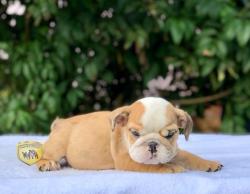 Click sobre la imagen para ampliarla