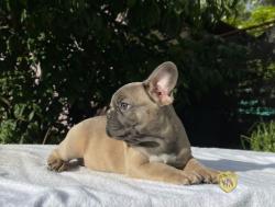 Click sobre la imagen para ampliarla