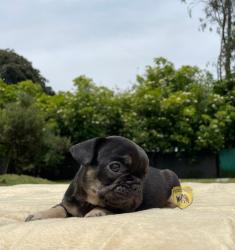 Click sobre la imagen para ampliarla