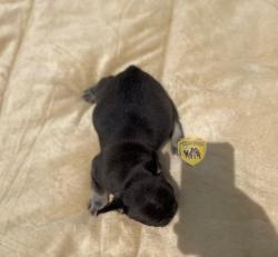 Click sobre la imagen para ampliarla