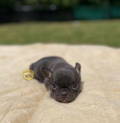 Click sobre la imagen para ampliarla