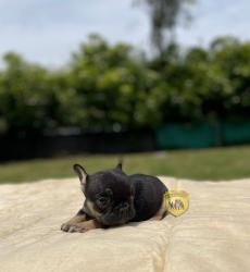 Click sobre la imagen para ampliarla