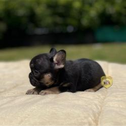 Click sobre la imagen para ampliarla