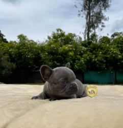 Click sobre la imagen para ampliarla