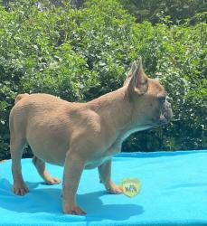 Click sobre la imagen para ampliarla