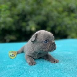 Click sobre la imagen para ampliarla