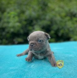 Click sobre la imagen para ampliarla