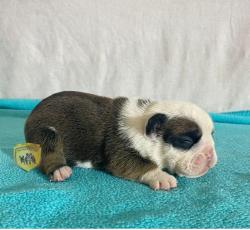 Click sobre la imagen para ampliarla