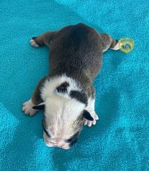 Click sobre la imagen para ampliarla