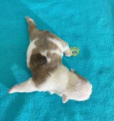 Click sobre la imagen para ampliarla