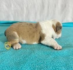 Click sobre la imagen para ampliarla