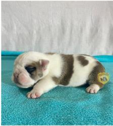 Click sobre la imagen para ampliarla