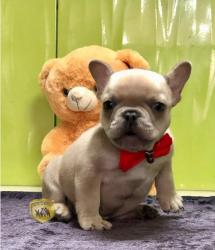 Click sobre la imagen para ampliarla