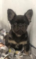 Click sobre la imagen para ampliarla