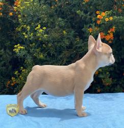 Click sobre la imagen para ampliarla