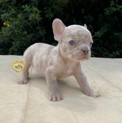 Click sobre la imagen para ampliarla