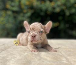 Click sobre la imagen para ampliarla