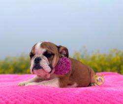 Click sobre la imagen para ampliarla