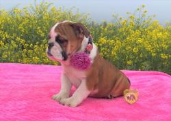 Click sobre la imagen para ampliarla