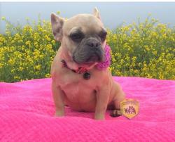 Click sobre la imagen para ampliarla