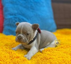 Click sobre la imagen para ampliarla