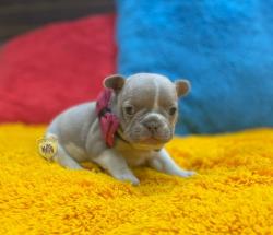 Click sobre la imagen para ampliarla