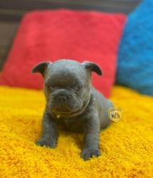 Click sobre la imagen para ampliarla