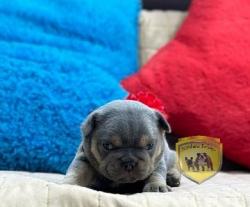 Click sobre la imagen para ampliarla