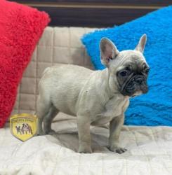 Click sobre la imagen para ampliarla