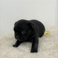 Click sobre la imagen para ampliarla