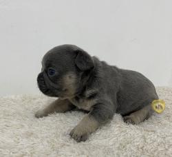 Click sobre la imagen para ampliarla