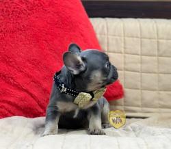 Click sobre la imagen para ampliarla