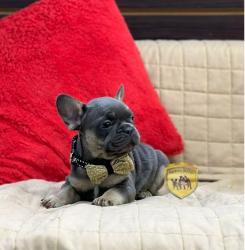 Click sobre la imagen para ampliarla