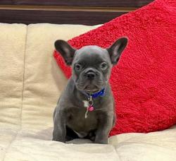 Click sobre la imagen para ampliarla